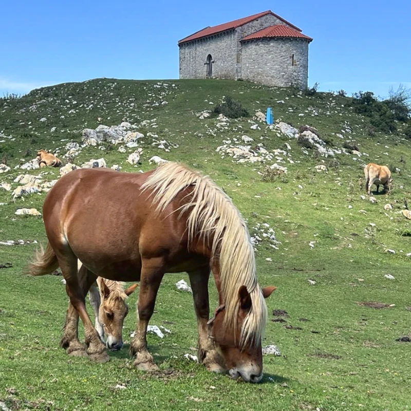 capillas-de-santiago1